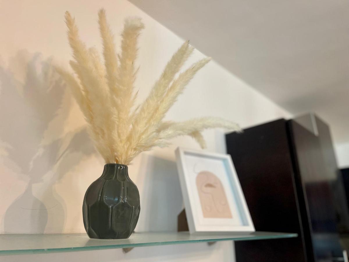 Apartmento Centro Playa Tendenza Playa del Carmen Eksteriør bilde